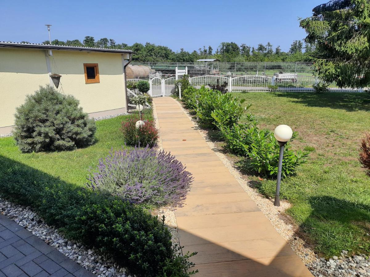 Pudagla Ferienwohnung Am Schmollensee מראה חיצוני תמונה